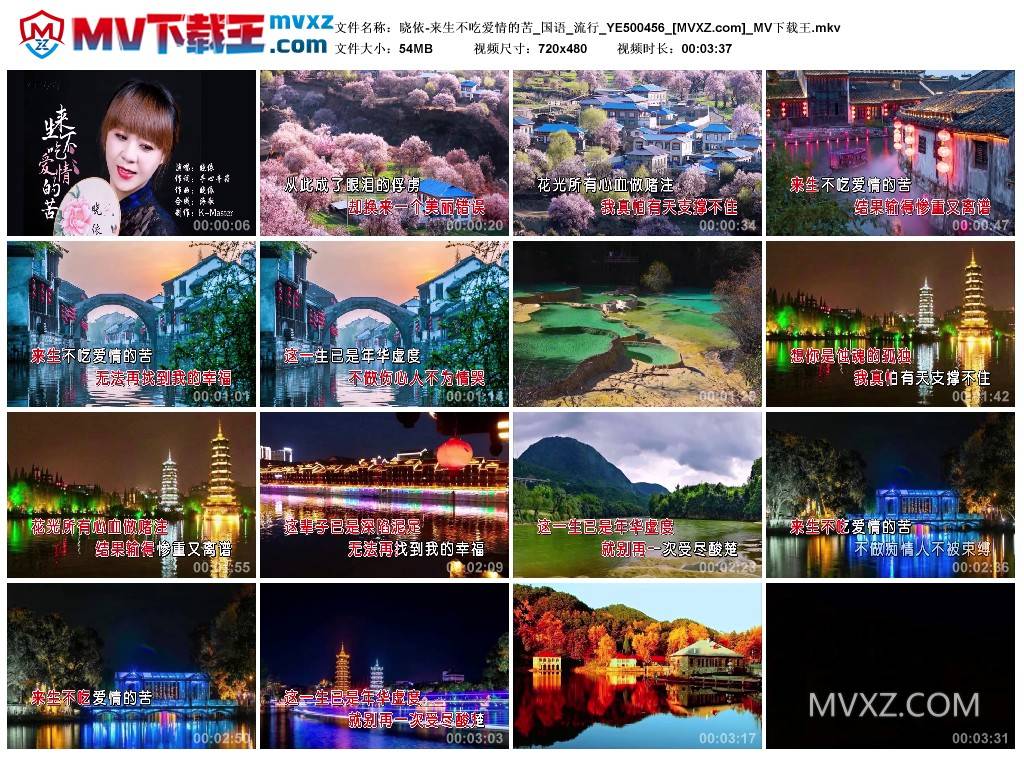 晓依-来生不吃爱情的苦_国语_流行_YE500456